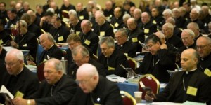 U.S. Conference of Catholic Bishops at their 2015 General Assembly, held in St. Louis, Mo. (Photo: AP)