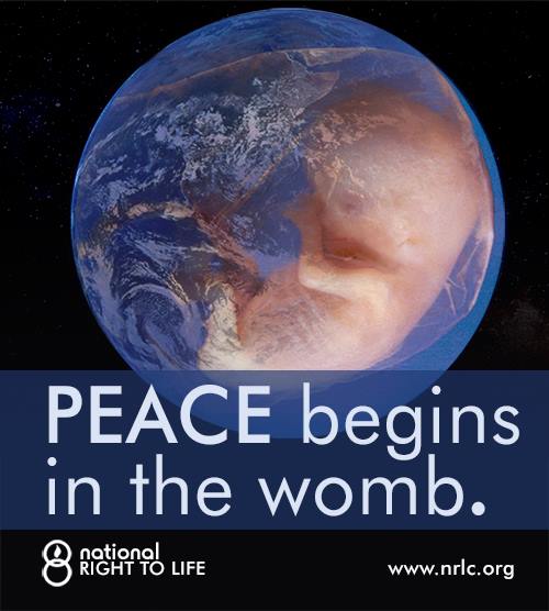 Peace begins in the womb